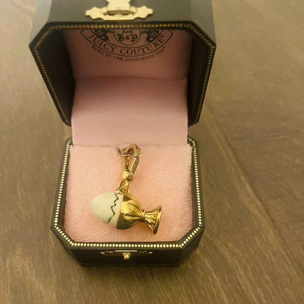 Juicy couture charm